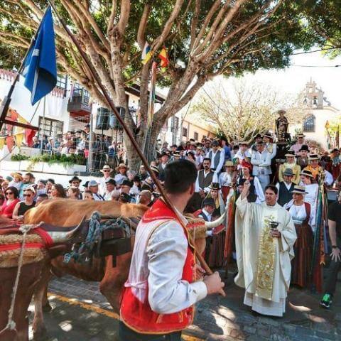 Romeria-de-San-Antonio